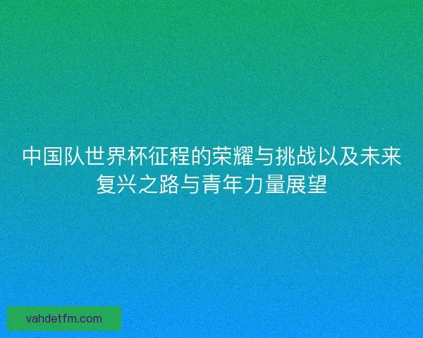中国队世界杯征程的荣耀与挑战以及未来复兴之路与青年力量展望