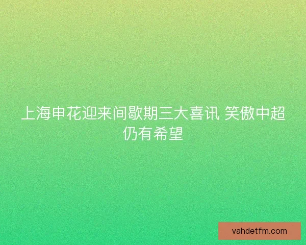 上海申花迎来间歇期三大喜讯 笑傲中超仍有希望